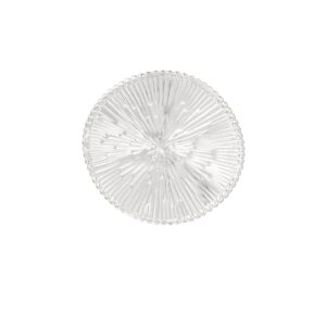 Δαχτυλίδι ‘Shiny Circle’ – Ασημί